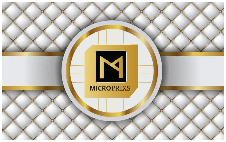 Life at Microprixs team culture
