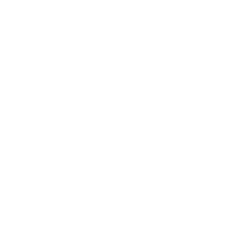 Npm/yarn